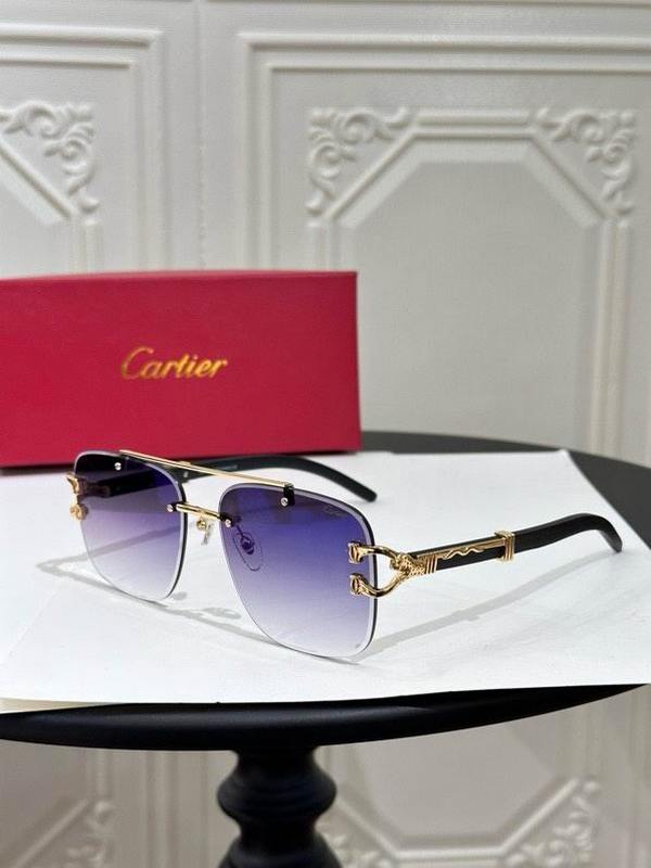 Cartier Sunglasses 729